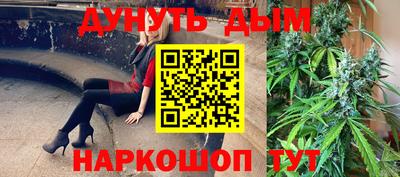 мдпв Новозыбков