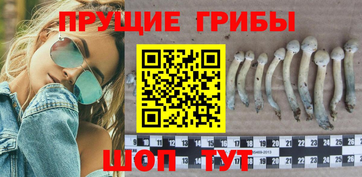 Псилоцибиновые грибы ЛСД  Галлюциногенные грибы ЛСД  Вход с VPN  Туймазы 