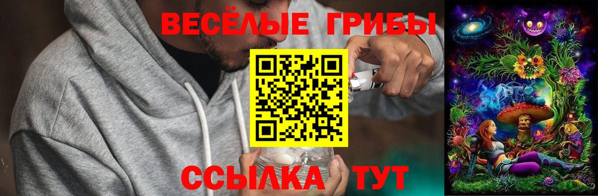 Псилоцибиновые грибы мухоморы Туймазы